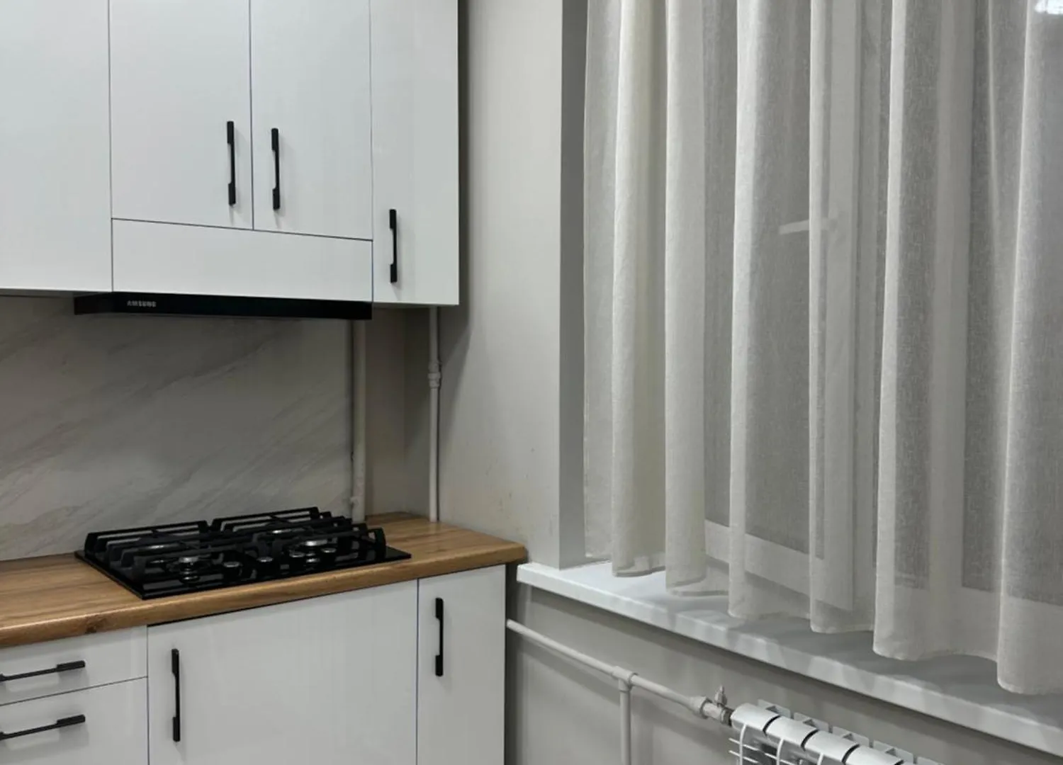 Comfortable Apartment In Almaty